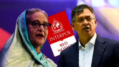ইন্টারপোলে শেখ হাসিনার নামে রে’ড নোটিশ জারির জন্য আবেদন করা হয়েছে: সংসদে স্বরাষ্ট্রমন্ত্রী