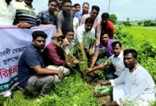 শিবালয়ে স্বেচ্ছাসেবক দলের পরিচ্ছন্নতা অভিযান ও বৃক্ষরোপণ