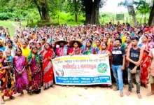 দৈনিক ১৮৭ টাকা মজুরি পান চা শ্রমিকরা, কর্মবিরতি চলছে ৫০০ টাকা মজুরির দাবিতে