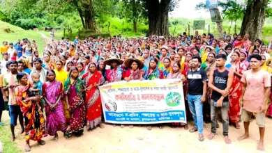 দৈনিক ১৮৭ টাকা মজুরি পান চা শ্রমিকরা, কর্মবিরতি চলছে ৫০০ টাকা মজুরির দাবিতে