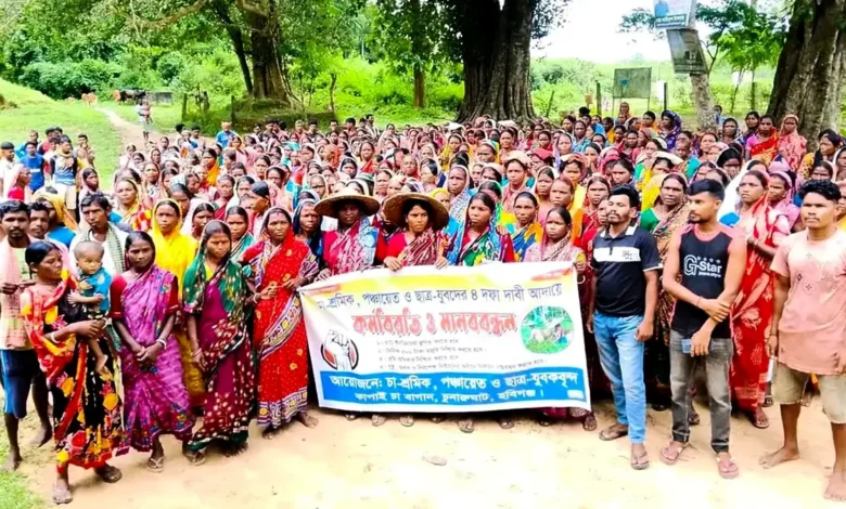 দৈনিক ১৮৭ টাকা মজুরি পান চা শ্রমিকরা, কর্মবিরতি চলছে ৫০০ টাকা মজুরির দাবিতে