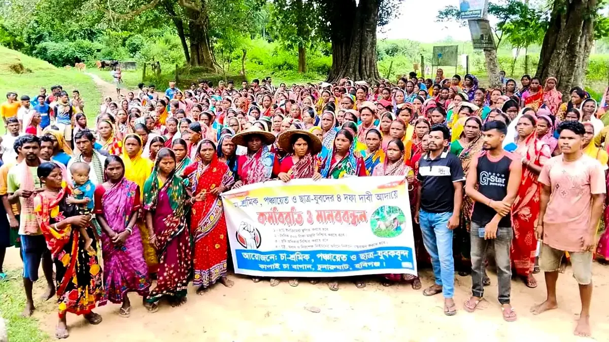 দৈনিক ১৮৭ টাকা মজুরি পান চা শ্রমিকরা, কর্মবিরতি চলছে ৫০০ টাকা মজুরির দাবিতে