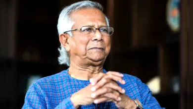 ইউনূসের পারিবারিক ভিটায় মশার প্রজনন ক্ষেত্র