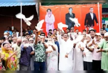 স্থানীয় নির্বাচনে একক প্রার্থী দেবে বিএনপি: মিনু