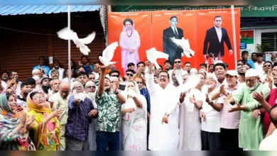 স্থানীয় নির্বাচনে একক প্রার্থী দেবে বিএনপি: মিনু