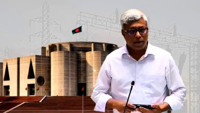 বিদ্যুৎ সংকটের কারণ অন্তর্বর্তী সরকারের এফএসআর চুক্তি বাতিল: প্রতিমন্ত্রী অমিত