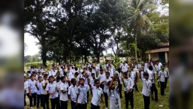 সবুজের পথে বিজয়নগর: শিক্ষার্থীদের হাতে চারা, পাশে তরী বাংলাদেশ