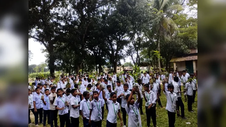 সবুজের পথে বিজয়নগর: শিক্ষার্থীদের হাতে চারা, পাশে তরী বাংলাদেশ
