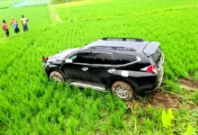বধির বৃদ্ধাকে বাঁচাতে গিয়ে গাড়ি ধানখেতে, স্ত্রীসহ প্রতিমন্ত্রী আহত