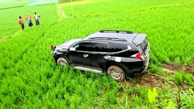 বধির বৃদ্ধাকে বাঁচাতে গিয়ে গাড়ি ধানখেতে, স্ত্রীসহ প্রতিমন্ত্রী আহত