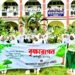 সবুজের পথে সাংবাদিকতা: চৌদ্দগ্রামে শিক্ষার্থীদের হাতে দুই শতাধিক গাছের চারা