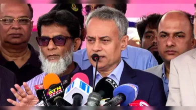 ঢাকা-আশুলিয়া এলিভেটেড এক্সপ্রেসওয়ের অগ্রগতি: চালু ২ সার্ভিস সেতু