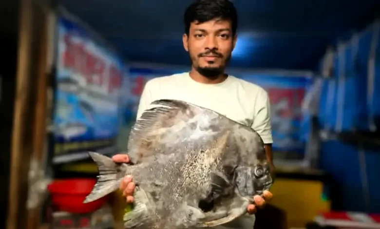 কুয়াকাটায় জেলের জালে বিরল ‘বাদুড় মাছ’, কৌতূহল স্থানীয়দের