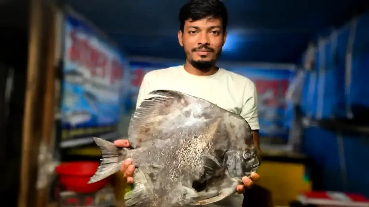 কুয়াকাটায় জেলের জালে বিরল ‘বাদুড় মাছ’, কৌতূহল স্থানীয়দের
