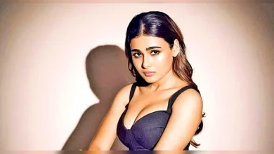 শালিনী পাণ্ডের ভুয়া এআই ভিডিও, ক্ষোভ প্রকাশ অভিনেত্রীর