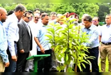 বিএনপির ৪৮তম প্রতিষ্ঠাবার্ষিকী: জিয়া উদ্যানে তারেক রহমানের বৃক্ষরোপণ ও শ্রদ্ধা